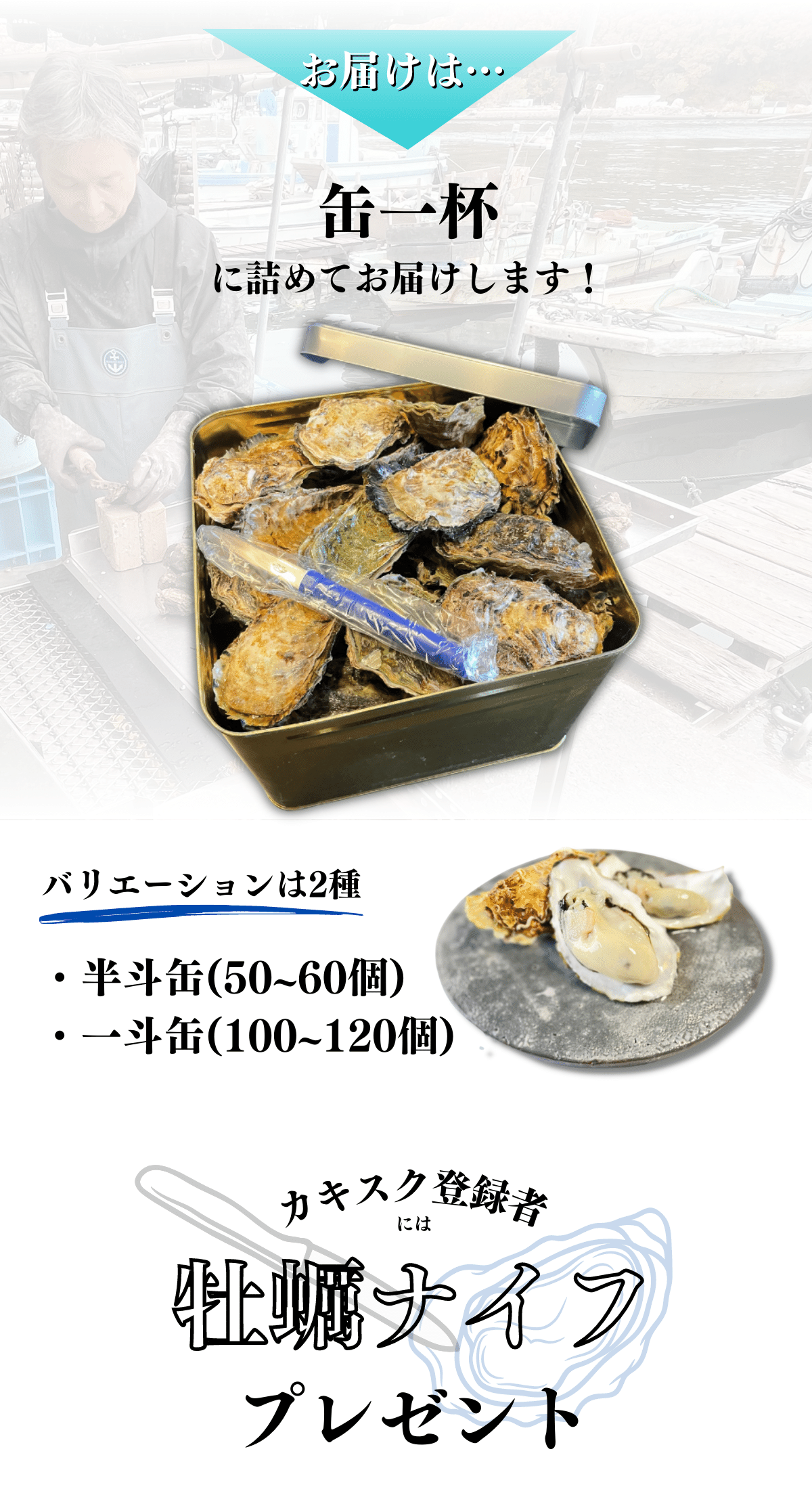 牡蠣配送 内容 半斗缶 一斗缶 牡蠣ナイフ プレゼント