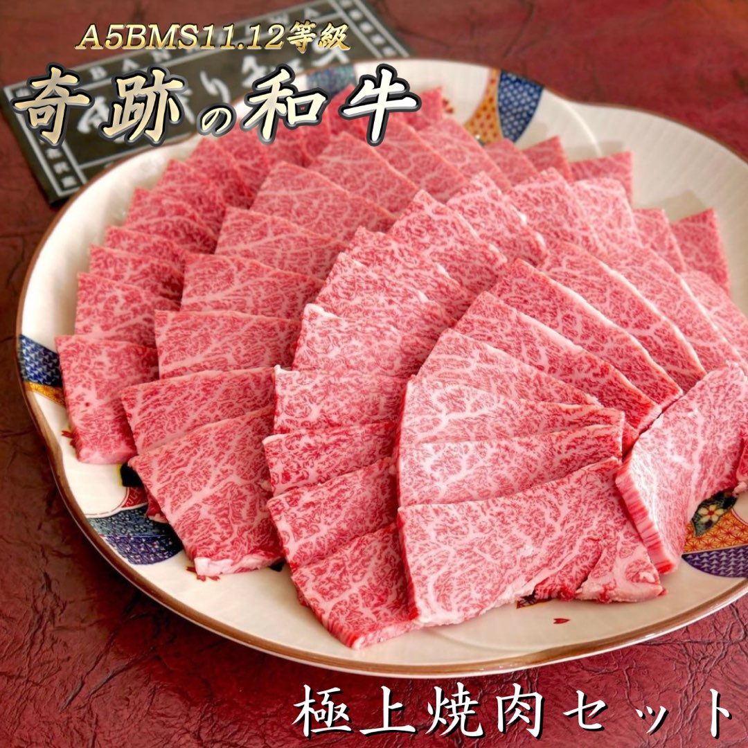 A5BMS12等級ブランド和牛 焼肉セット カルビ 赤身