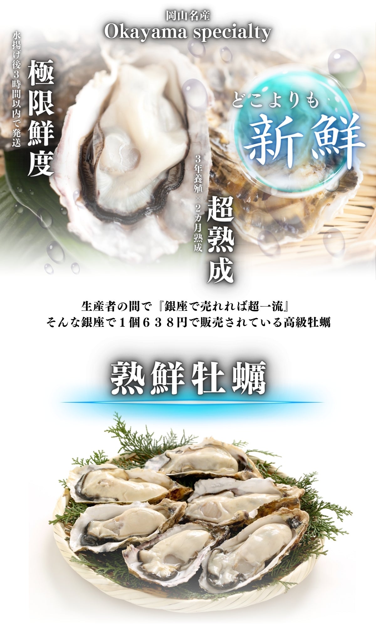 熟鮮牡蠣 どこよりも新鮮を追及 極限鮮度 超熟成
